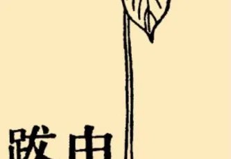 本草纲目·第八卷·草部·由跋原文是什么内容?