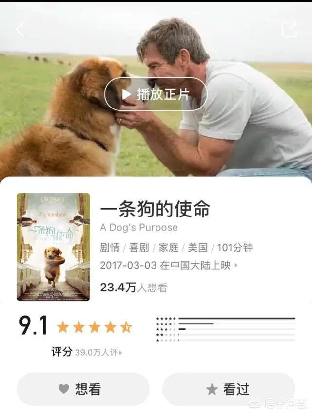 如何评价电影《一条狗的使命2》？