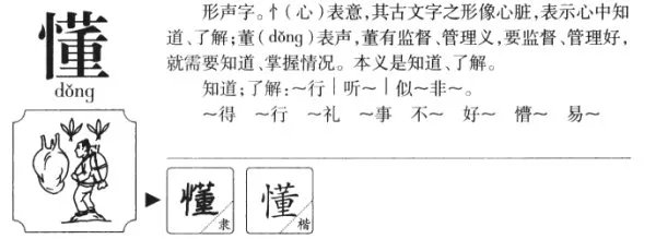 懂的拼音和组词和韵序。