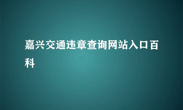 嘉兴交通违章查询网站入口百科