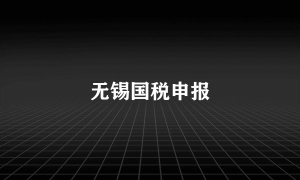 无锡国税申报