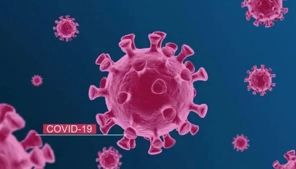 新冠病毒怕不怕高温？比如厄瓜多尔白虾假如高温烹制，还会致病吗？