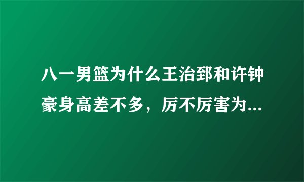 八一男篮为什么王治郅和许钟豪身高差不多，厉不厉害为什么差这么多？