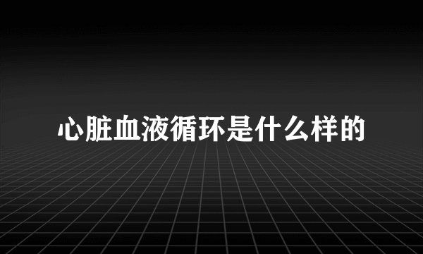 心脏血液循环是什么样的