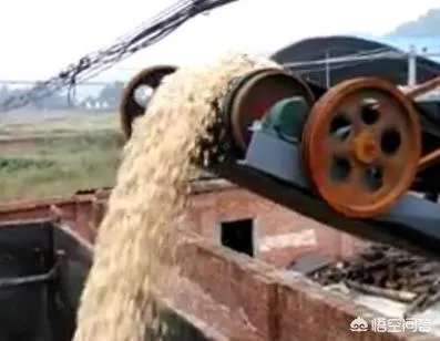 食用菌从种植到加工需要用到什么设备?