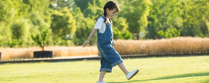 木字旁的字有哪些 带木字的所有汉字