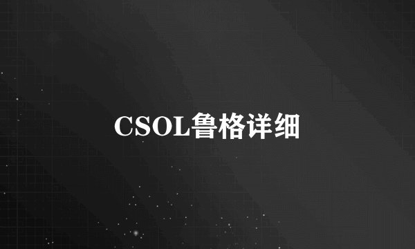 CSOL鲁格详细