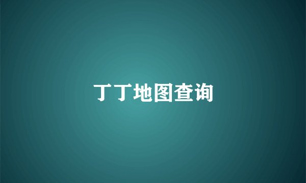 丁丁地图查询