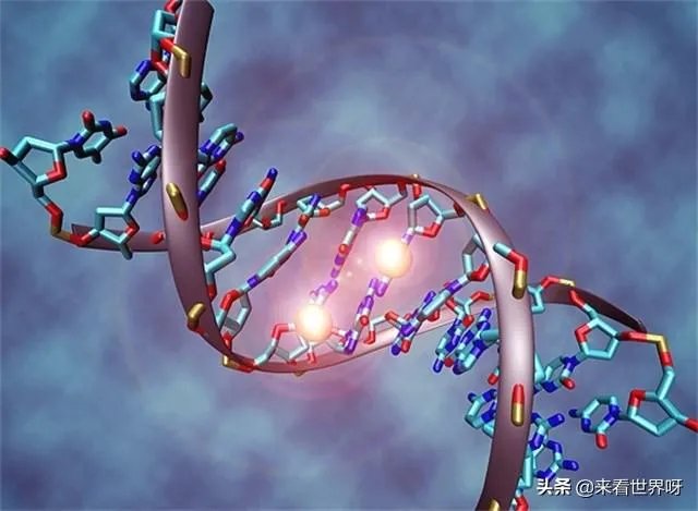 有人说：人类自然寿命是38岁，过了30就是老年人，你怎么看？