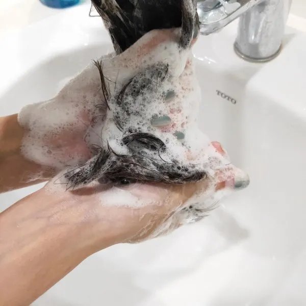 什么洗发水好用？