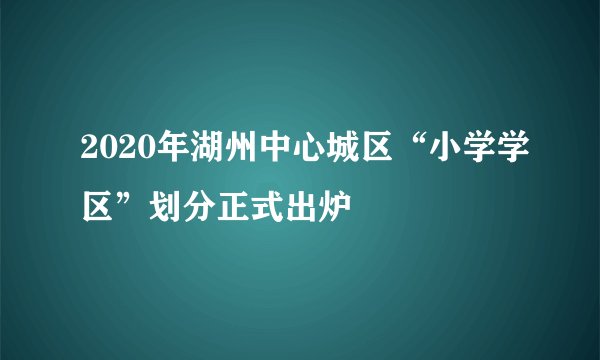 2020年湖州中心城区“小学学区”划分正式出炉