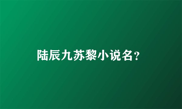 陆辰九苏黎小说名？