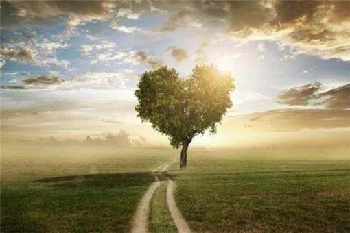 高校为考研学生做知识点蛋糕，你对这波操作怎么看？