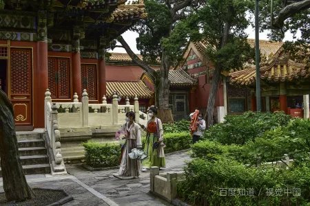 绵阳职业技术学院招生代码是多少？