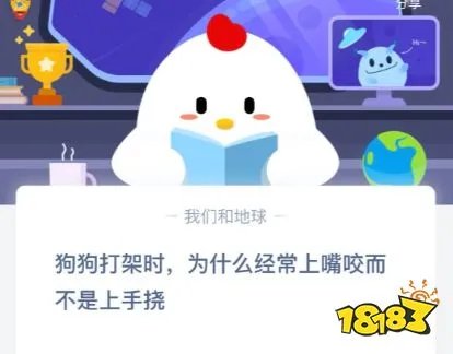 狗狗打架时,为什么经常上嘴咬而不是上手挠