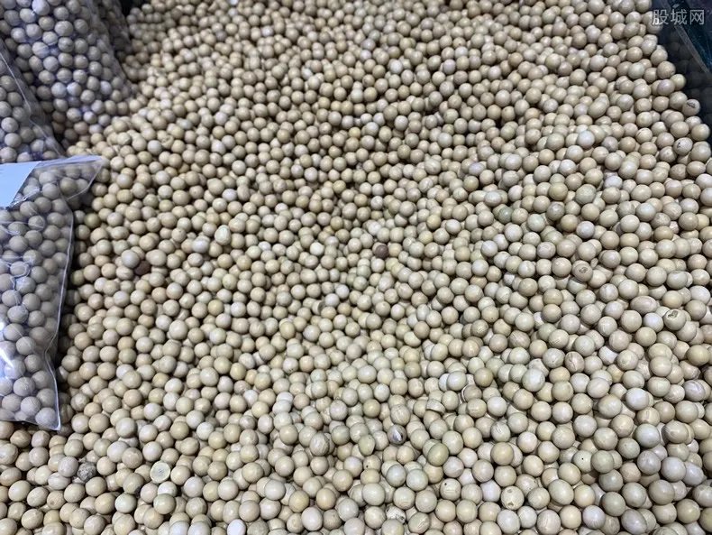 中国大豆进口比例是多少？主要来自哪些国家