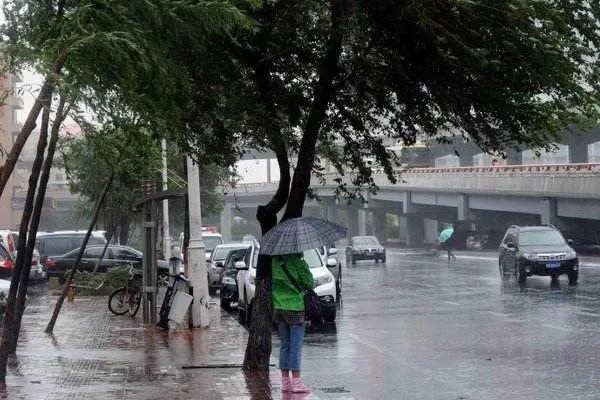 台风“鲸鱼”命名的由来是什么？