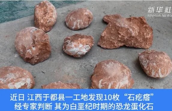 江西工地挖出6600万年前恐龙蛋化石是怎么回事 专家：白垩纪的