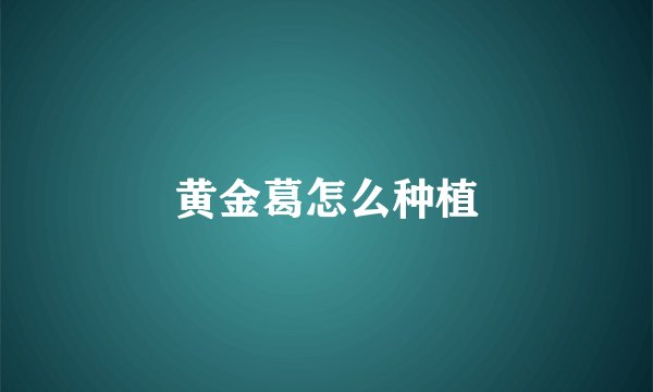 黄金葛怎么种植