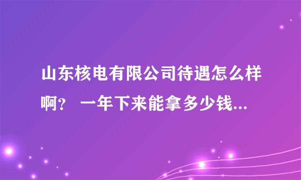 山东核电有限公司待遇怎么样啊？ 一年下来能拿多少钱 ？ 不同的工种具体说说，谢谢！