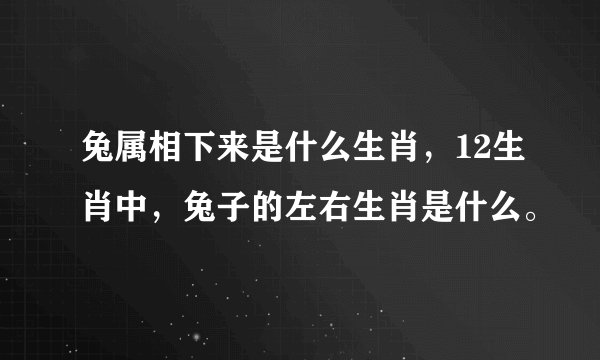 兔属相下来是什么生肖，12生肖中，兔子的左右生肖是什么。
