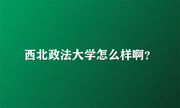 西北政法大学怎么样啊？