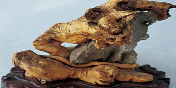 象山有哪些特产可以带_宁波象山特产有哪些值得带