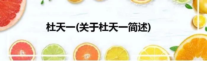 杜天一(关于杜天一简述)