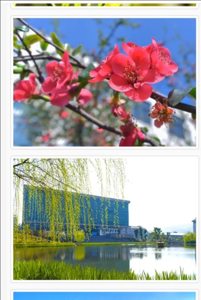 重庆职业学校哪个好？排名有了解的吗？