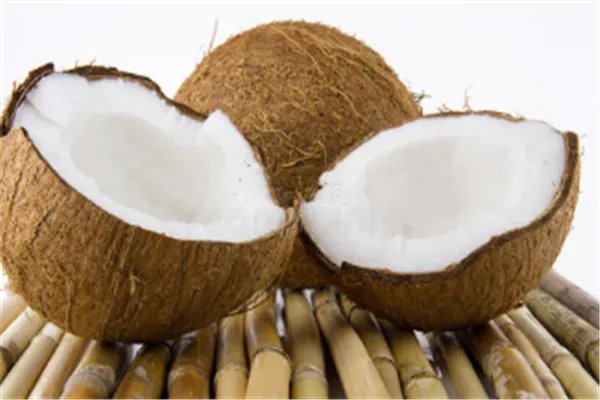 中国椰子的产地