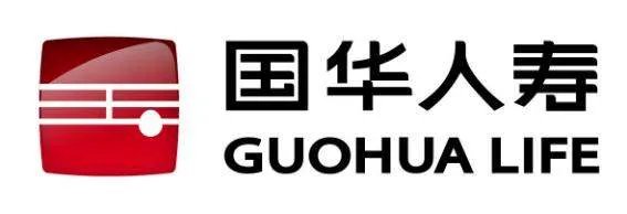 国华人寿保险公司排名第几？