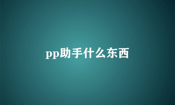 pp助手什么东西
