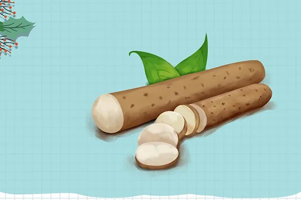 肉苁蓉有什么作用