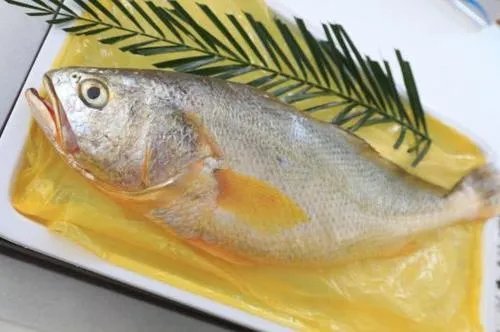 象山有哪些特产可以带_宁波象山特产有哪些值得带