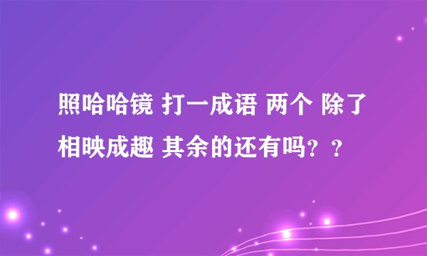 照哈哈镜 打一成语 两个 除了相映成趣 其余的还有吗？？