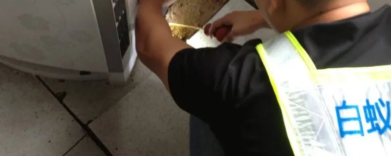 家庭如何灭白蚁