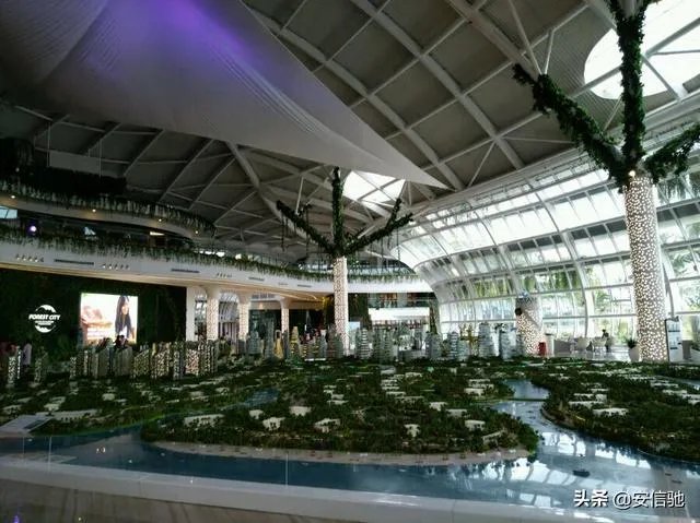 森林城市的户型怎么样？带父母过去住得惯吗？