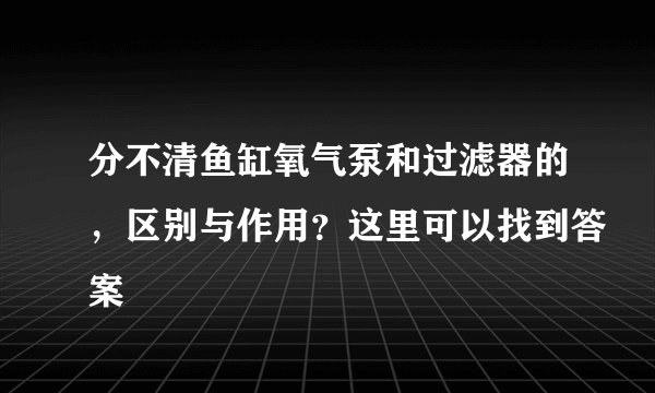分不清鱼缸氧气泵和过滤器的，区别与作用？这里可以找到答案