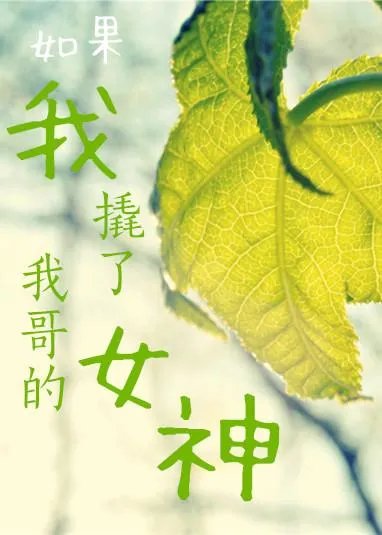 全程都是车的百合文