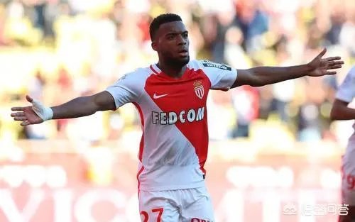 如何看待勒马尔的坠落？