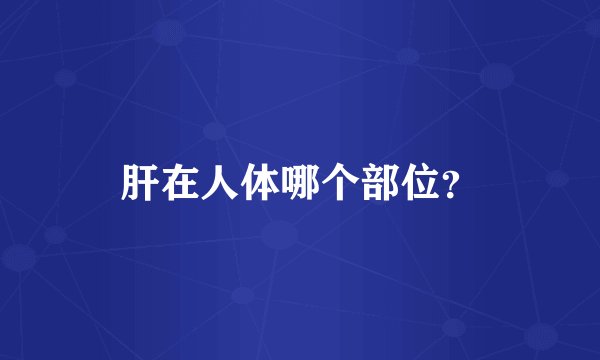 肝在人体哪个部位？