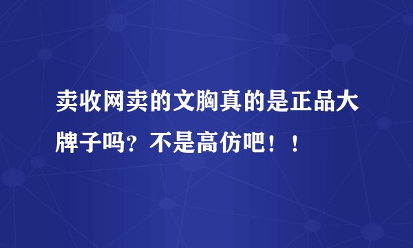 卖收网卖的文胸真的是正品大牌子吗？不是高仿吧！！