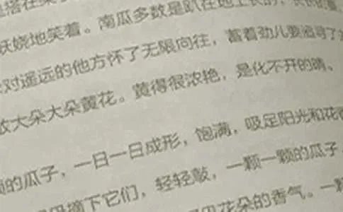 高中语文教学计划
