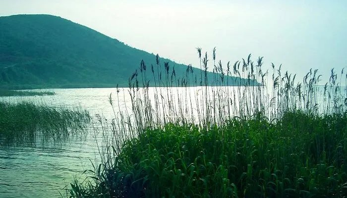 湖北和湖南中间的湖是什么