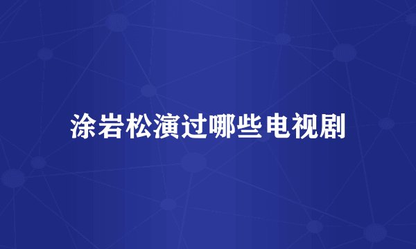 涂岩松演过哪些电视剧
