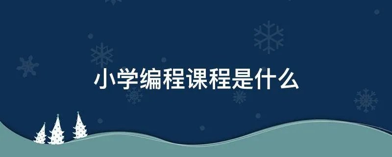 小学编程课程是什么